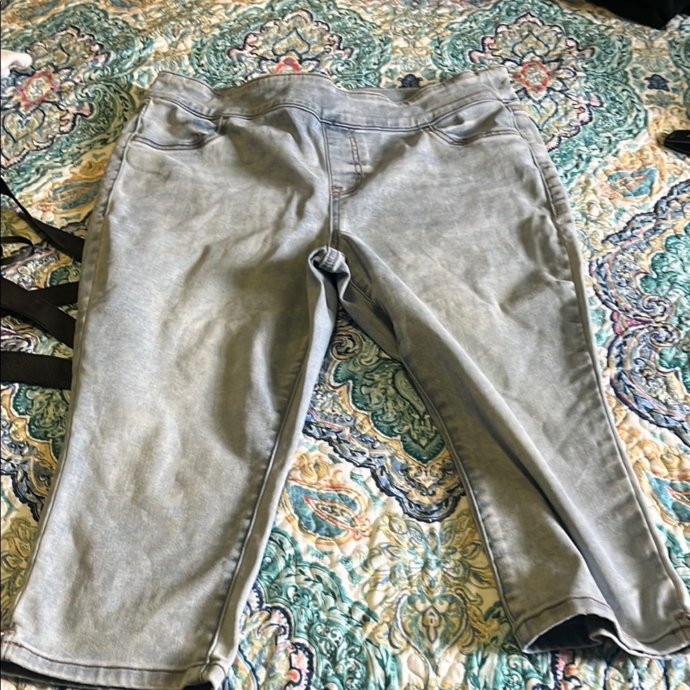 Lane Bryant Blue Denim Jeans
